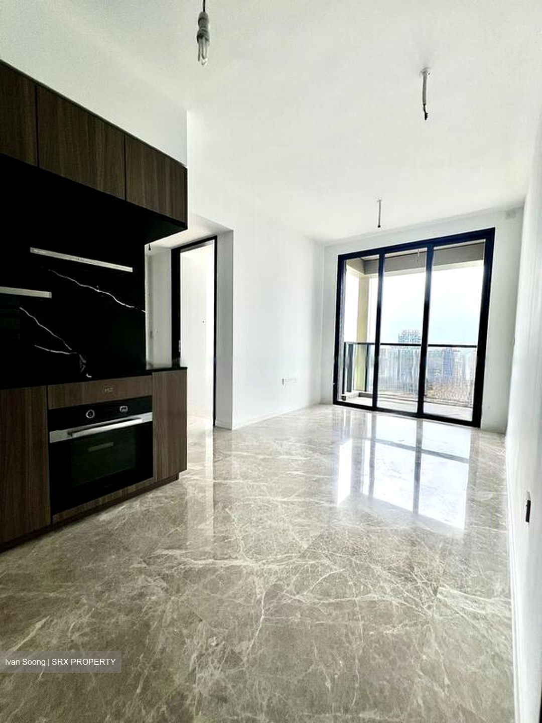 Irwell Hill Residences (D9), Apartment #594628071